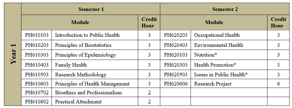 MASTER IN PUBLIC HEALTH (MPH)