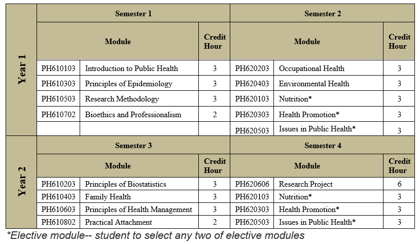 MASTER IN PUBLIC HEALTH (MPH)