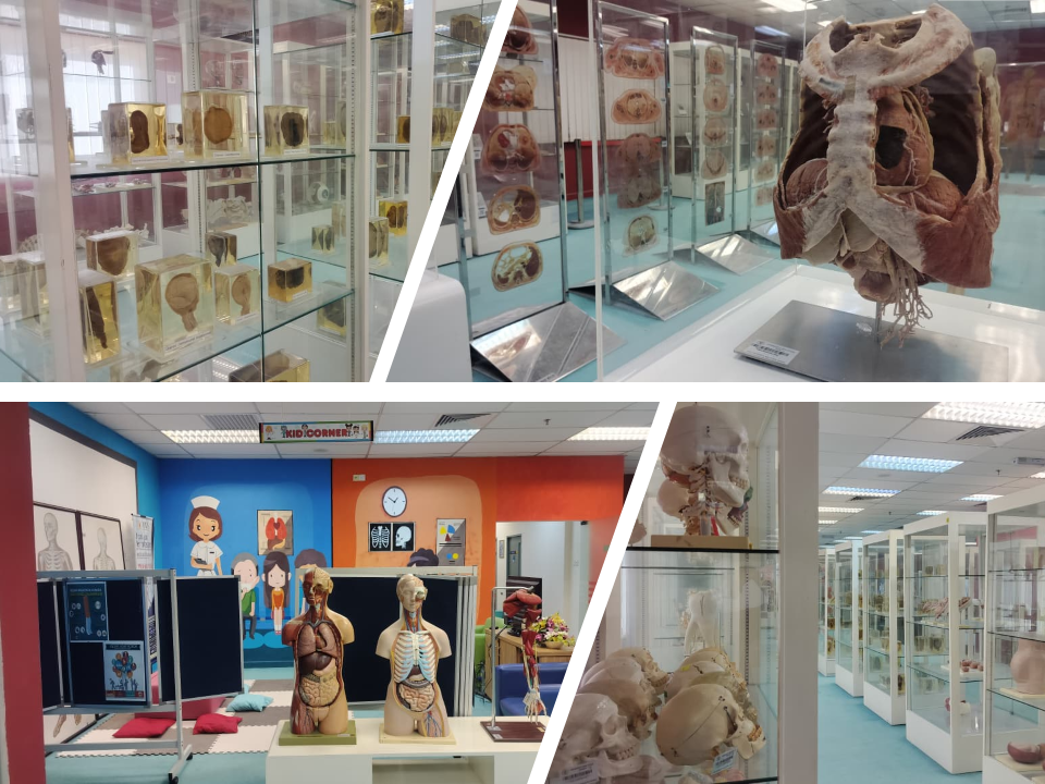 This image for Image Layouts addon