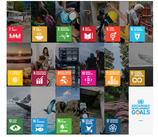 MATLAMAT SDG (SDG GOALS) Image