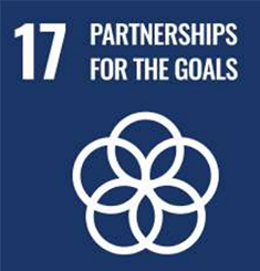 Partnerships For The Goals