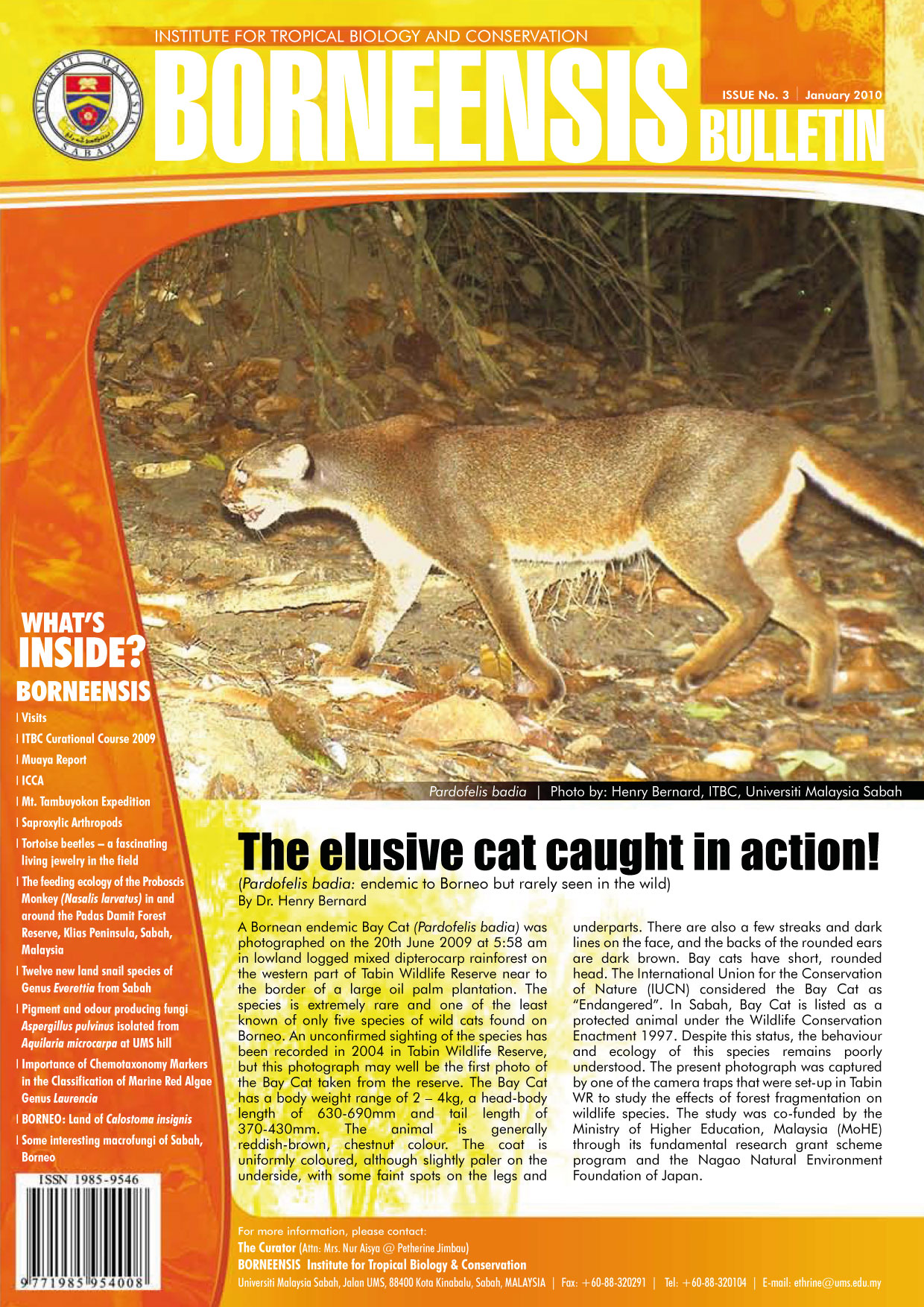 BORNEENSIS BULLETIN ISSUE NO.03/2010