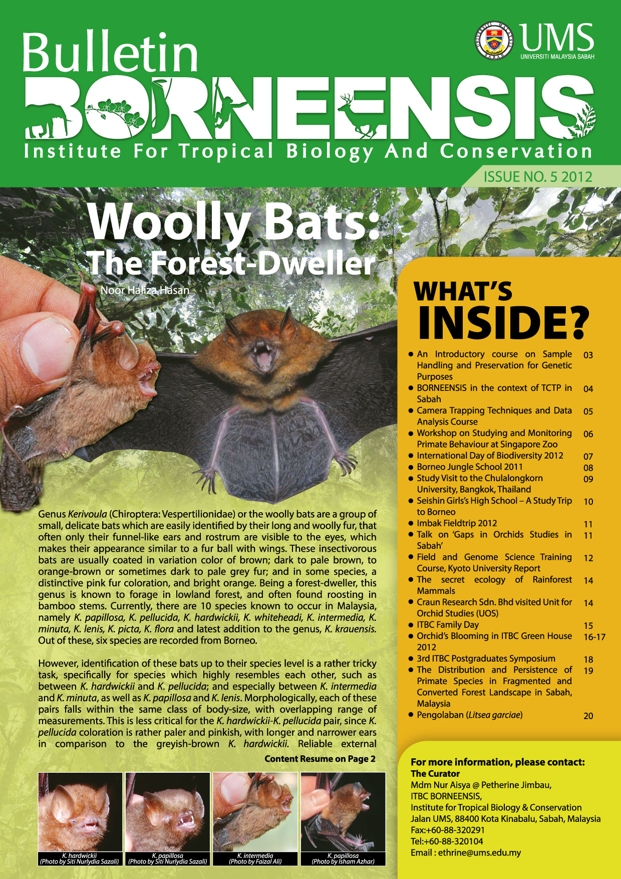 BORNEENSIS BULLETIN ISSUE NO.05/2012