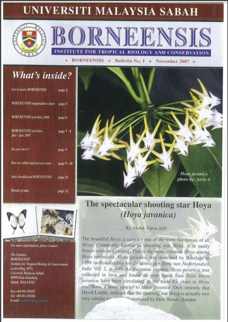 BORNEENSIS BULLETIN ISSUE NO.01/2007