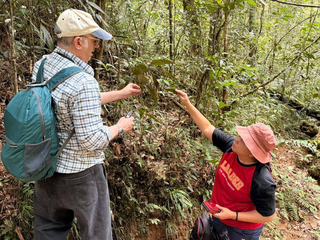 A HIDDEN TREASURE OF SABAH'S RAINFOREST