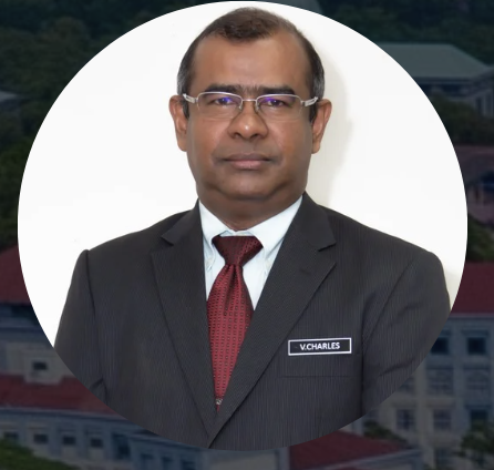 Charles S. Vairappan, Professor