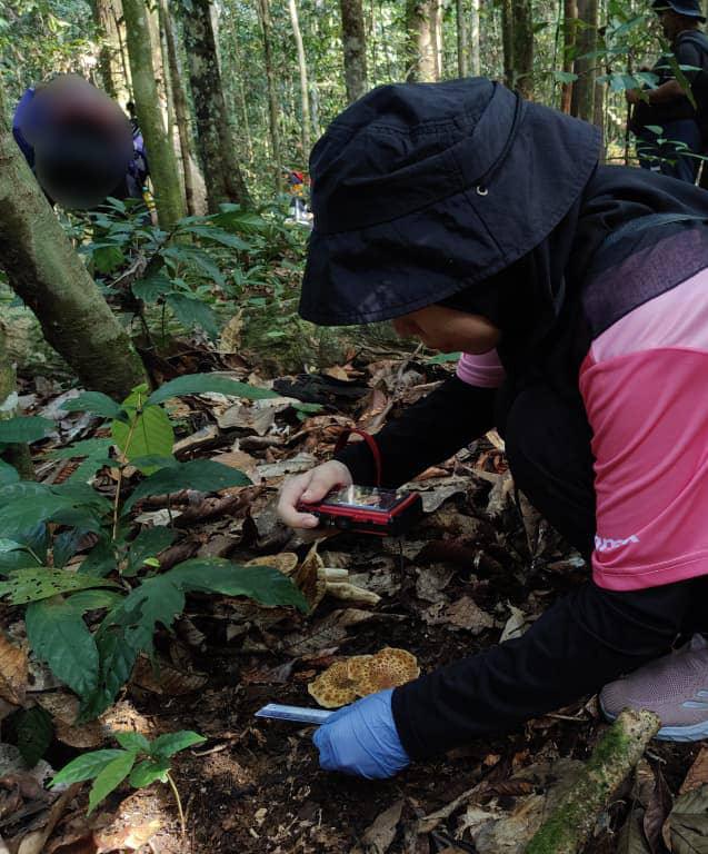 Identifying Poisonous Mushrooms