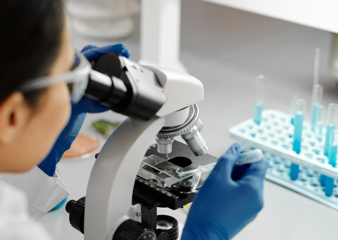 01 MSc in Molecular Biology (Coursework)