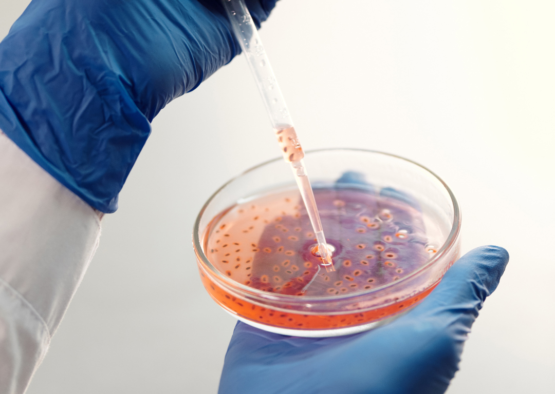 03 Master Of Science (MSc) In Molecular Biology