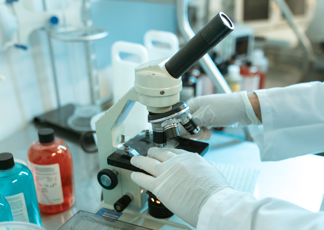 02 MSc. in (Biotechnology) & Ph.D in Applied Sciences