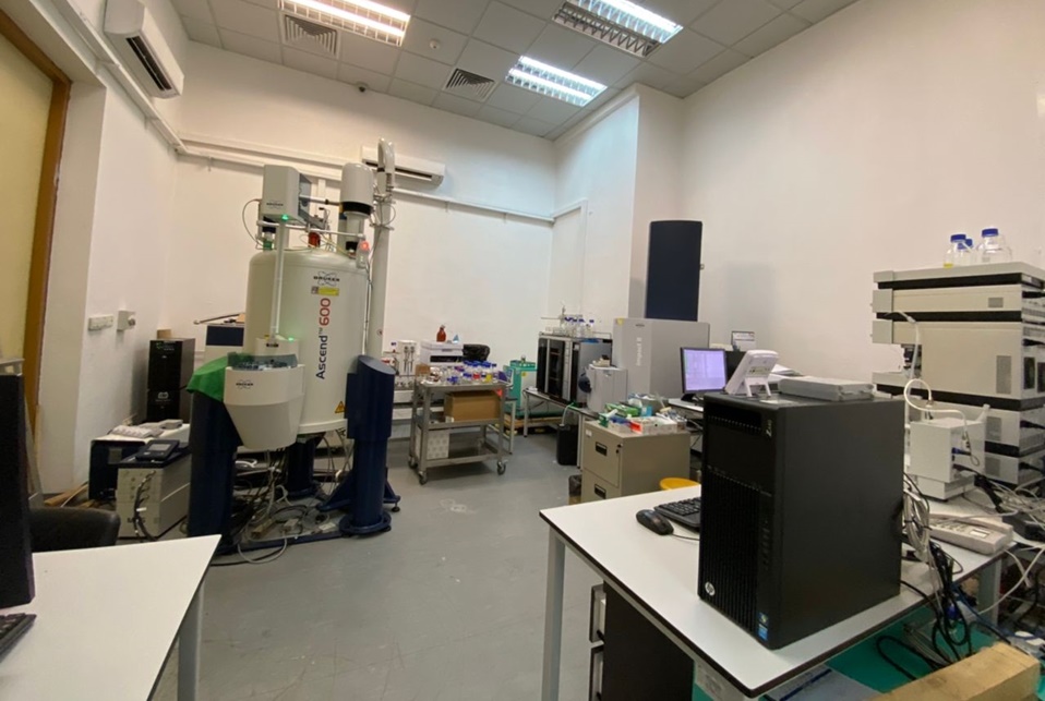 Nuclear Magnetic Resonance (NMR) Image