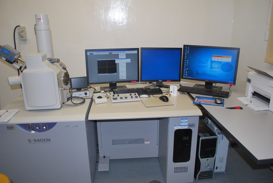 Scanning Electron Microscope (SEM) Image