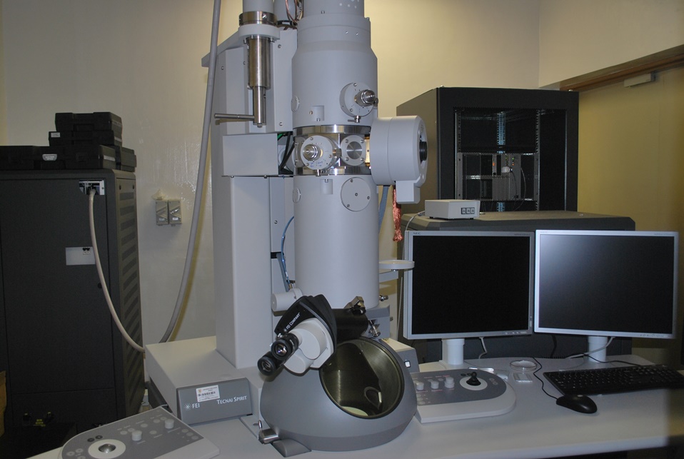 Transmission Electron Microscope (TEM) Image