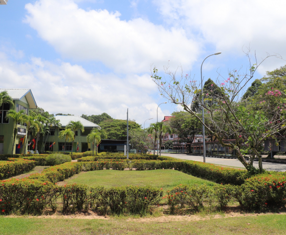Pokok bunga yang menenangkan