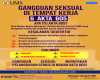 Gangguan Seksual di Tempat Kerja & Akta 605
