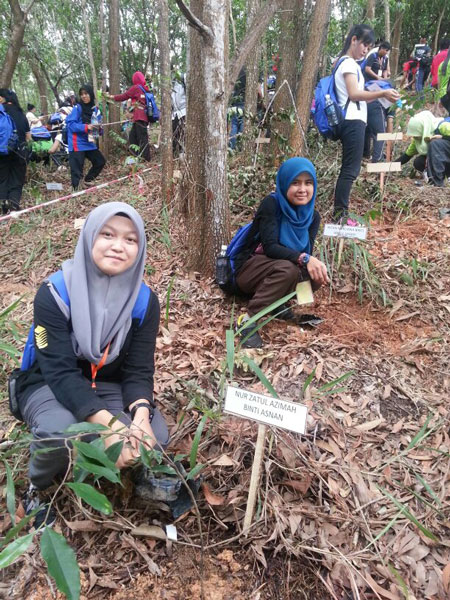 Tanam Pokok