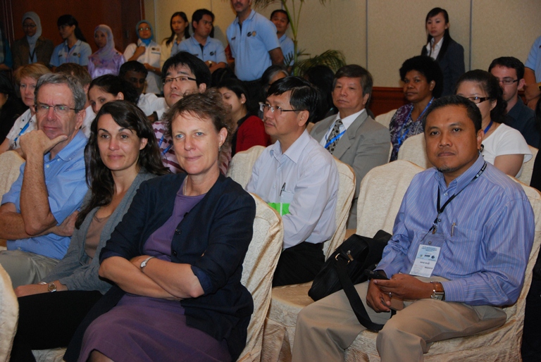 gambar hiasan pyldkan borneo