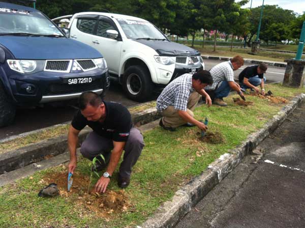 triton hutan