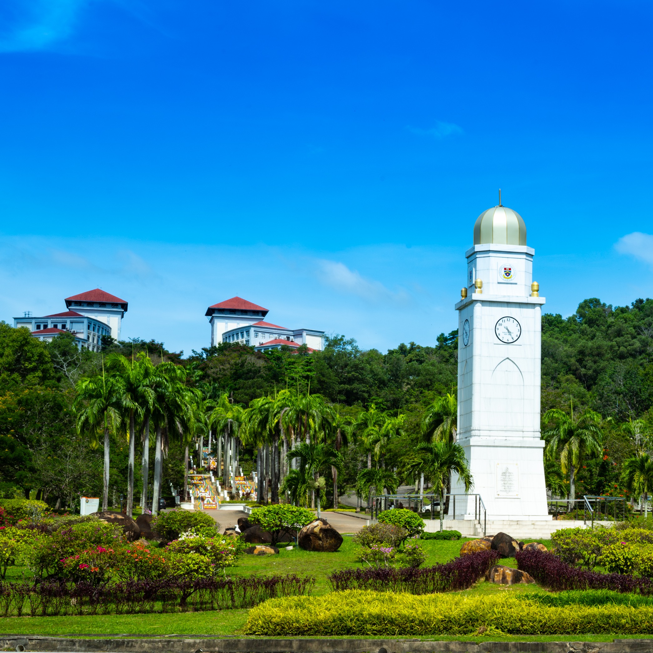 annual-report-cover-2024