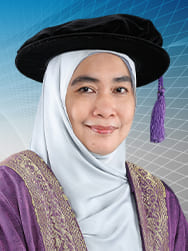 Prof. Dr. Raman Noordin, Deputy Vice-Chancellor HEPA