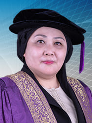 Prof. Dr. Raman Noordin, Deputy Vice-Chancellor HEPA